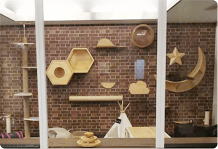 キャットヴィラ