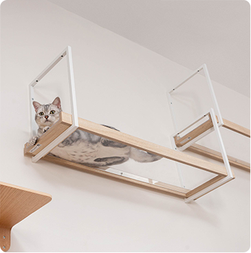 キャットウォーク