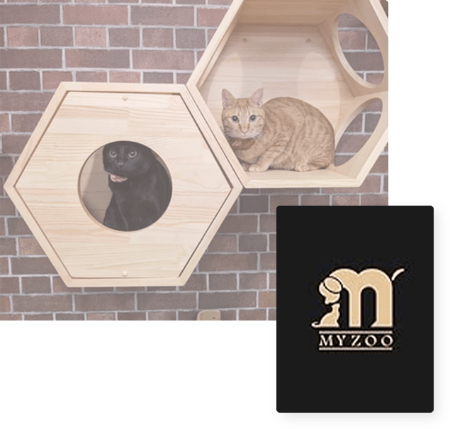 MYZOO～猫と造るお部屋のインテリア～