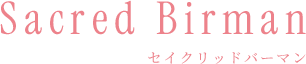 Sacred Birman（セイクリッドバーマン）